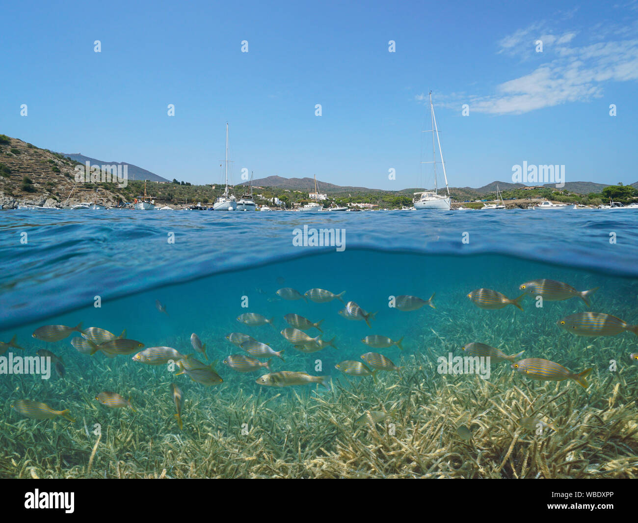 España Costa Brava Cadaqués, barcos amarrados en la bahía de Portlligat con peces y algas submarinas, Mar Mediterráneo, vista dividida por encima y por debajo de la superficie Foto de stock