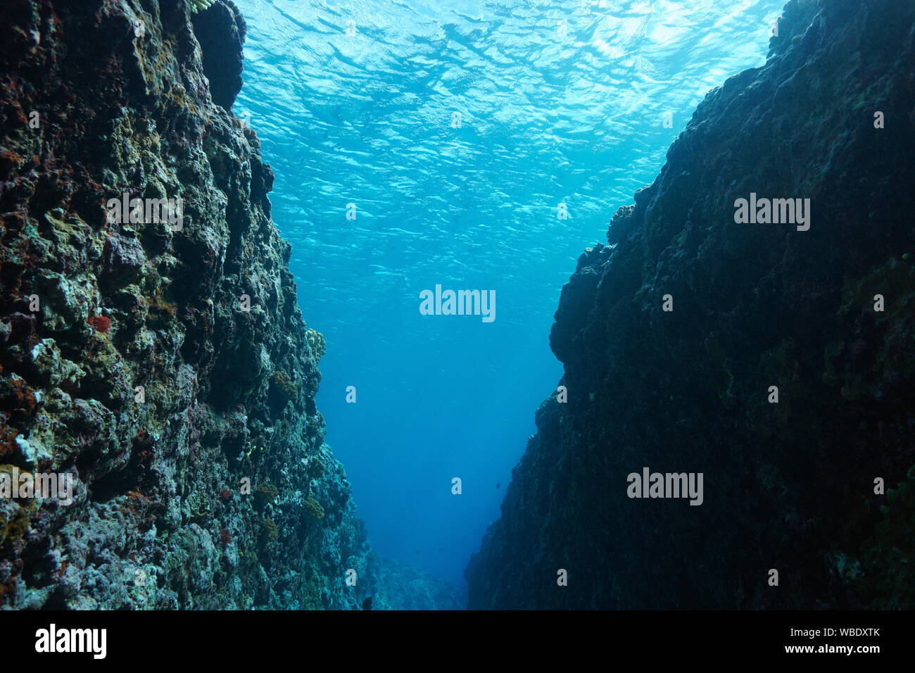 Superficie de agua underwater visto desde una grieta en el suelo oceánico, arrecife exterior de Huahine island, al sur del océano Pacífico, la Polinesia Francesa Foto de stock