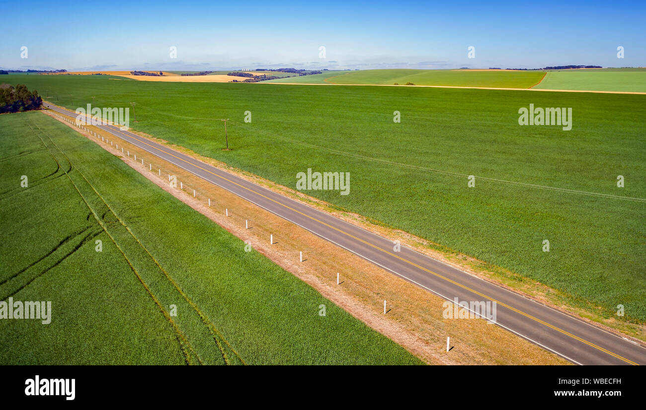 La fotografía aérea de la tierra y la siembra, el cultivo y la producción de alimentos. Foto de stock