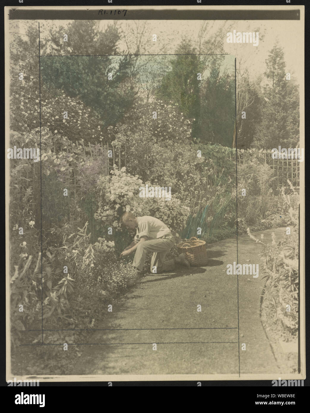Jardinero arrodillado al borde floral tienden, plantea para ilustrar el  poema de Rudyard Kipling la gloria