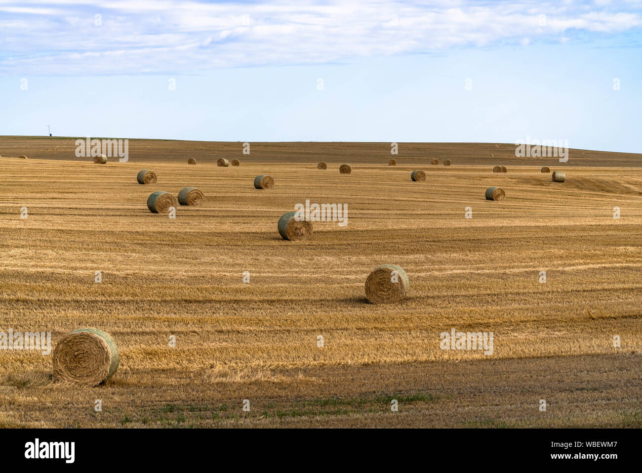 Los fardos de heno en el vasto campo normal en el cielo. Foto de stock