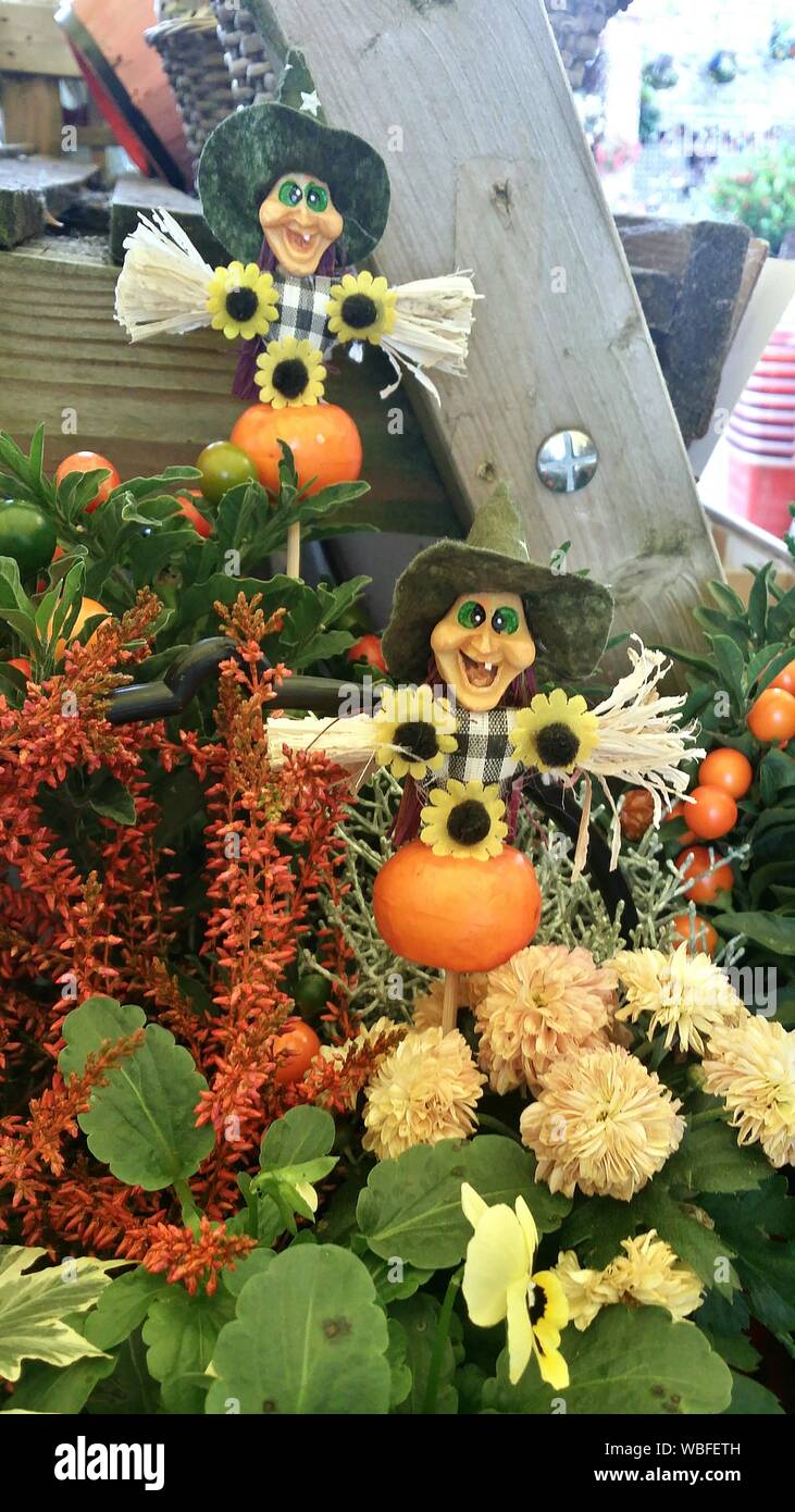 Decoración del patio trasero fotografías e imágenes de alta resolución