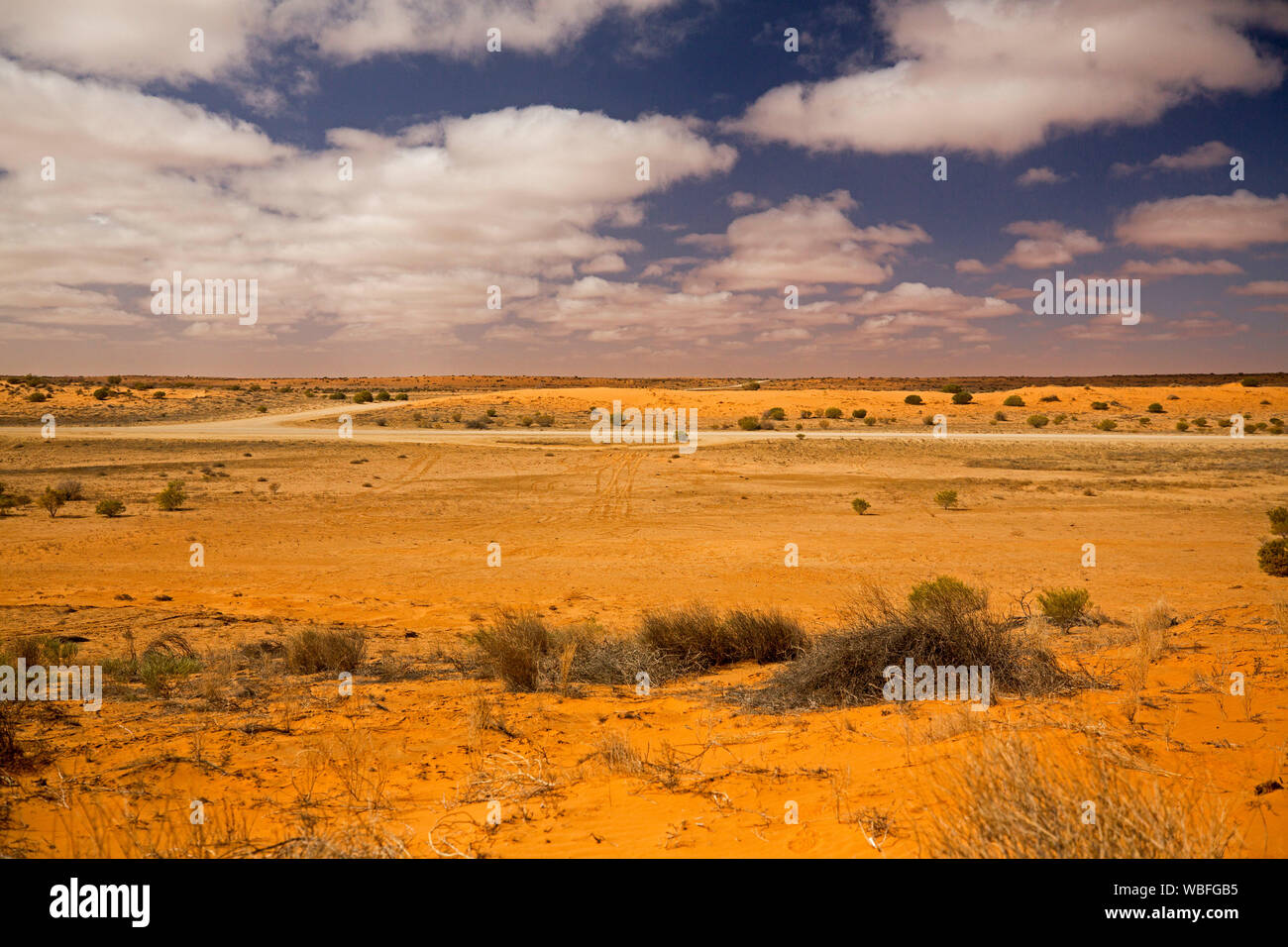 Árido paisaje del desierto australiano con vastas llanuras y bajas a lo largo de dunas de arena roja Strzelecki track casi desprovisto de vegetación durante la sequía Foto de stock