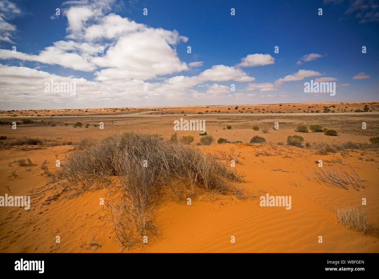 Árido paisaje del desierto australiano con vastas llanuras y bajas a lo largo de dunas de arena roja Strzelecki track casi desprovisto de vegetación durante la sequía Foto de stock