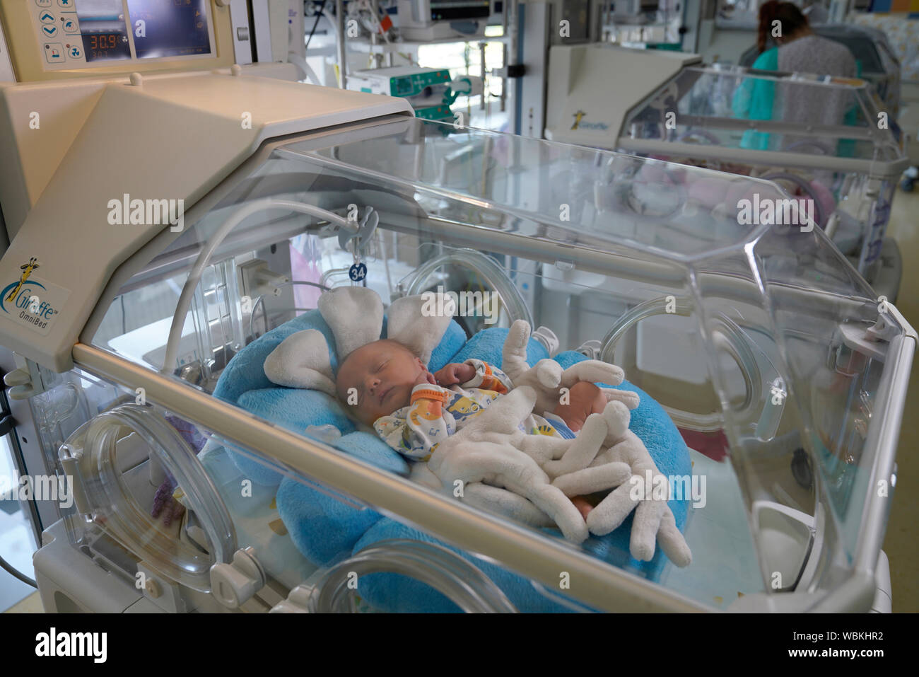 Bebé en la incubadora, unidad de cuidados intensivos para recién nacidos, Karlovy Vary, República Checa Foto de stock
