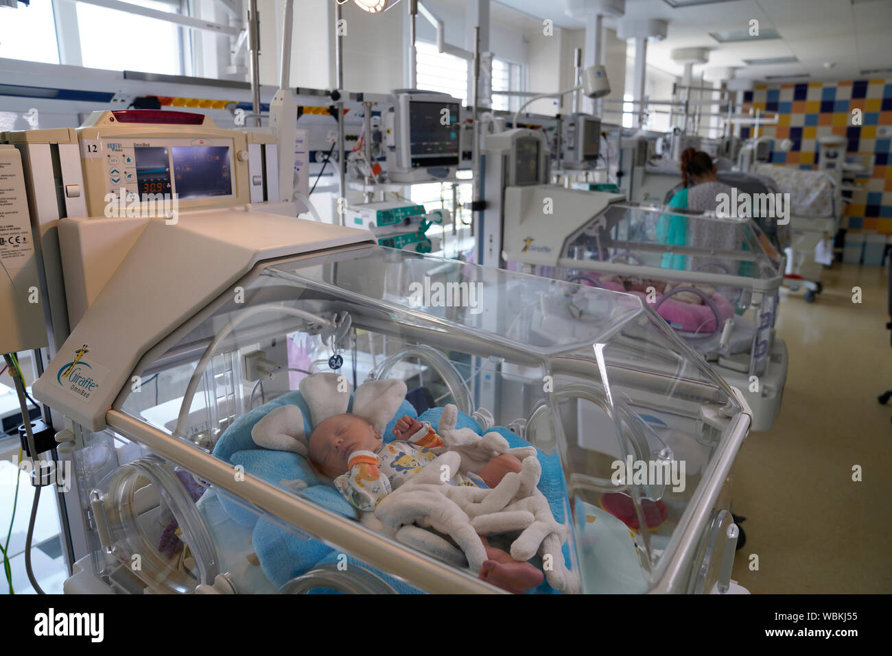 Bebé en la incubadora, unidad de cuidados intensivos para recién nacidos, Karlovy Vary, República Checa Foto de stock