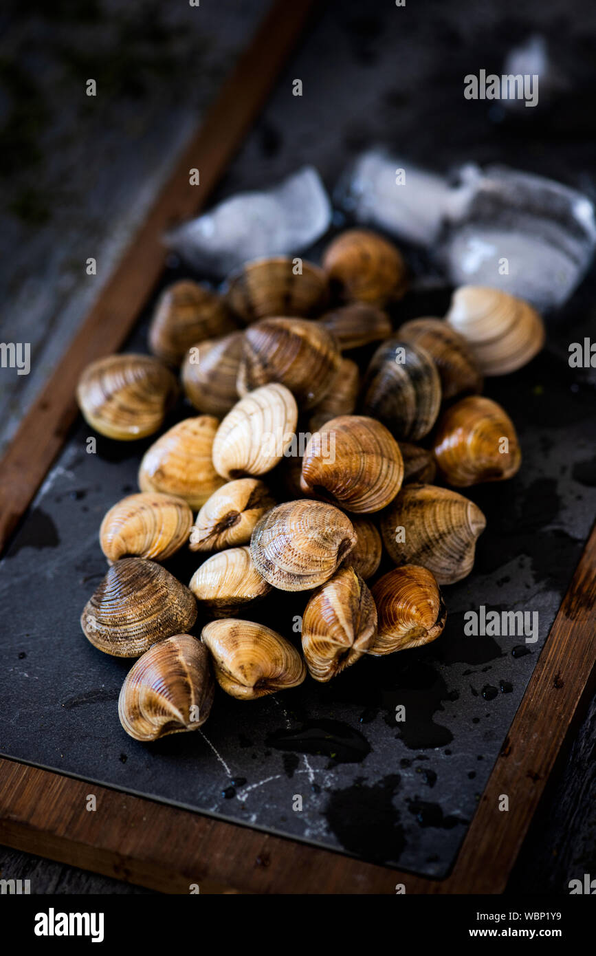 Pescadores locales y almejas deliciosas