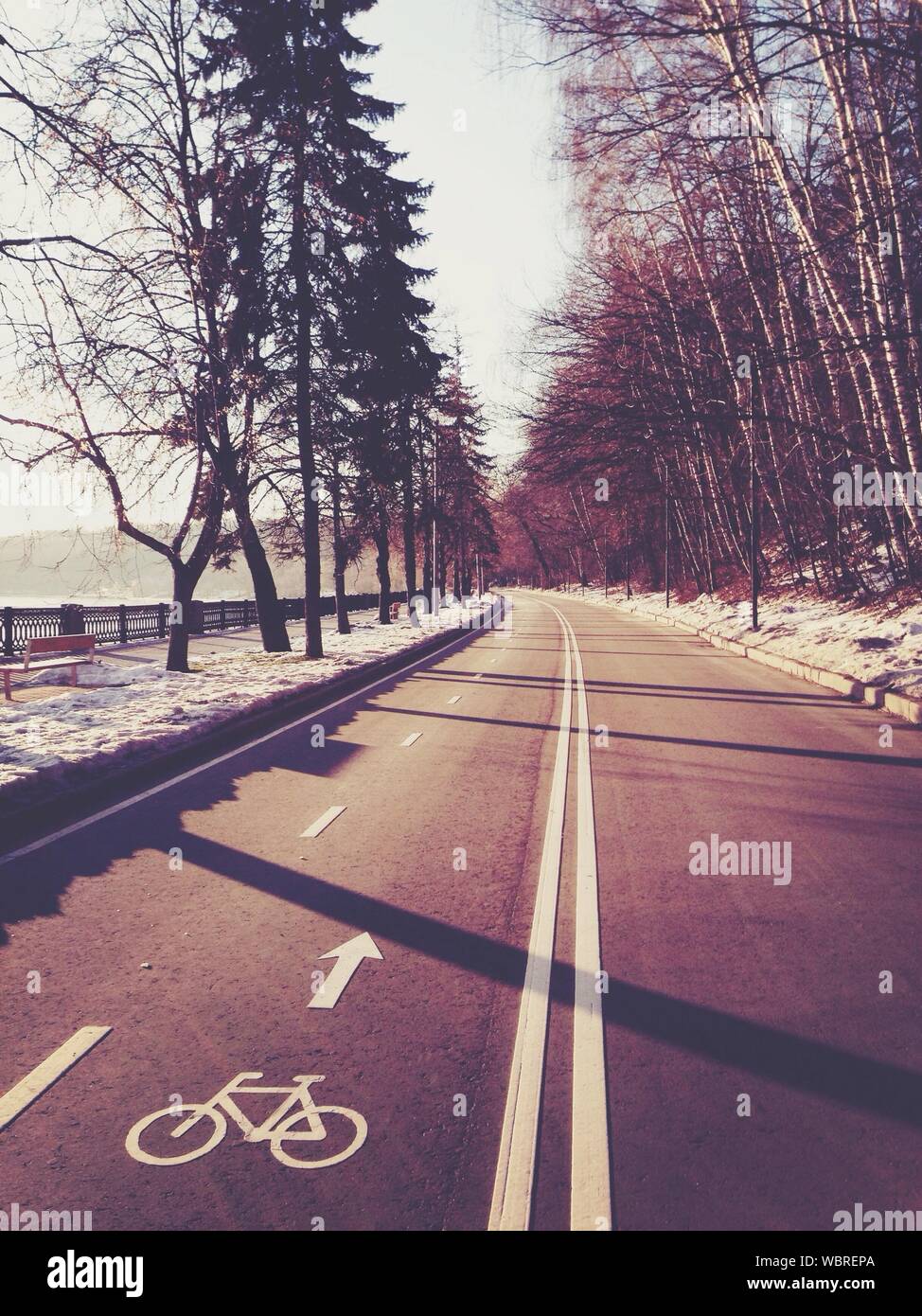 Carretera y carril bici en invierno Foto de stock