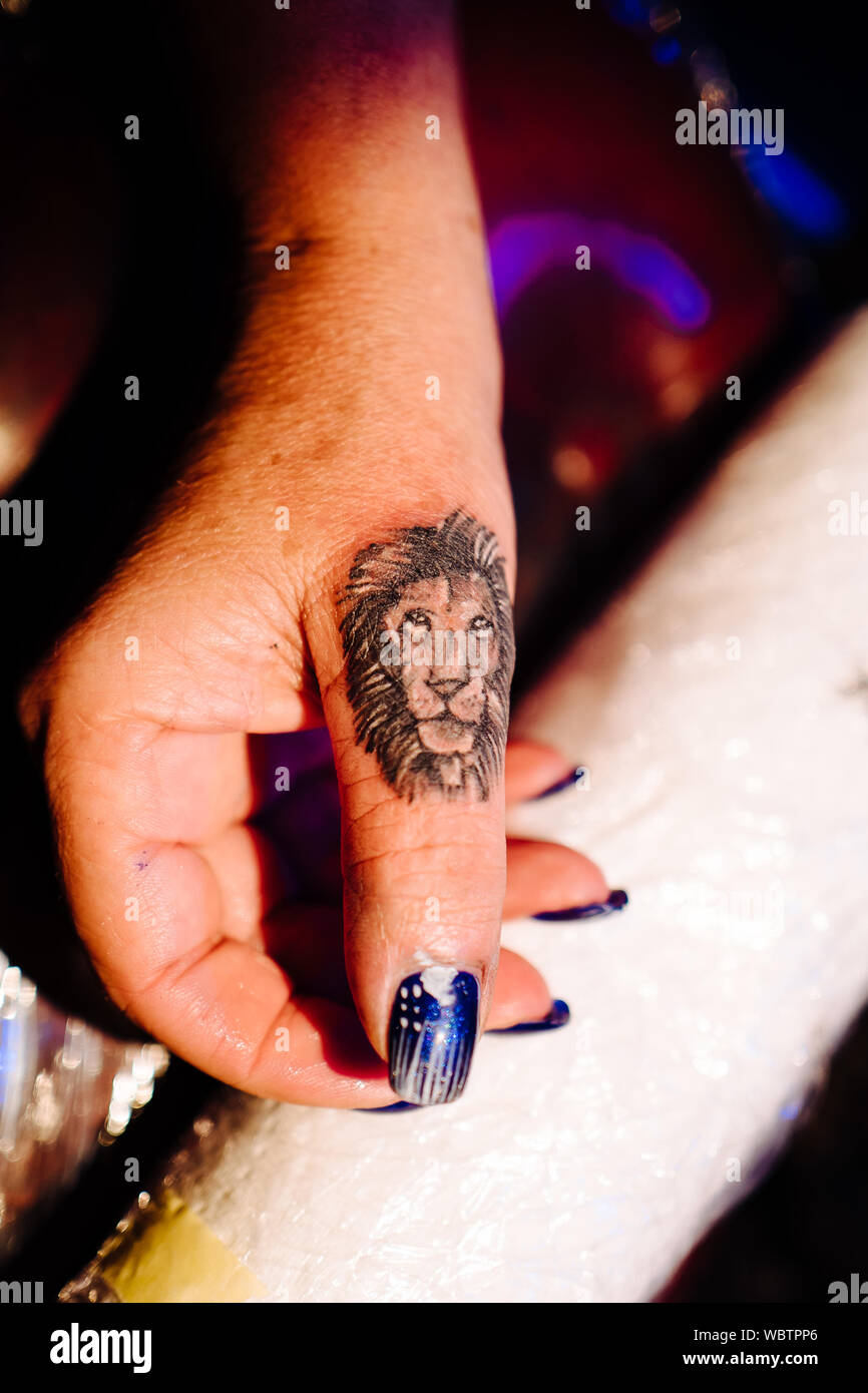Lion tattoo fotografías e imágenes de alta resolución - Alamy