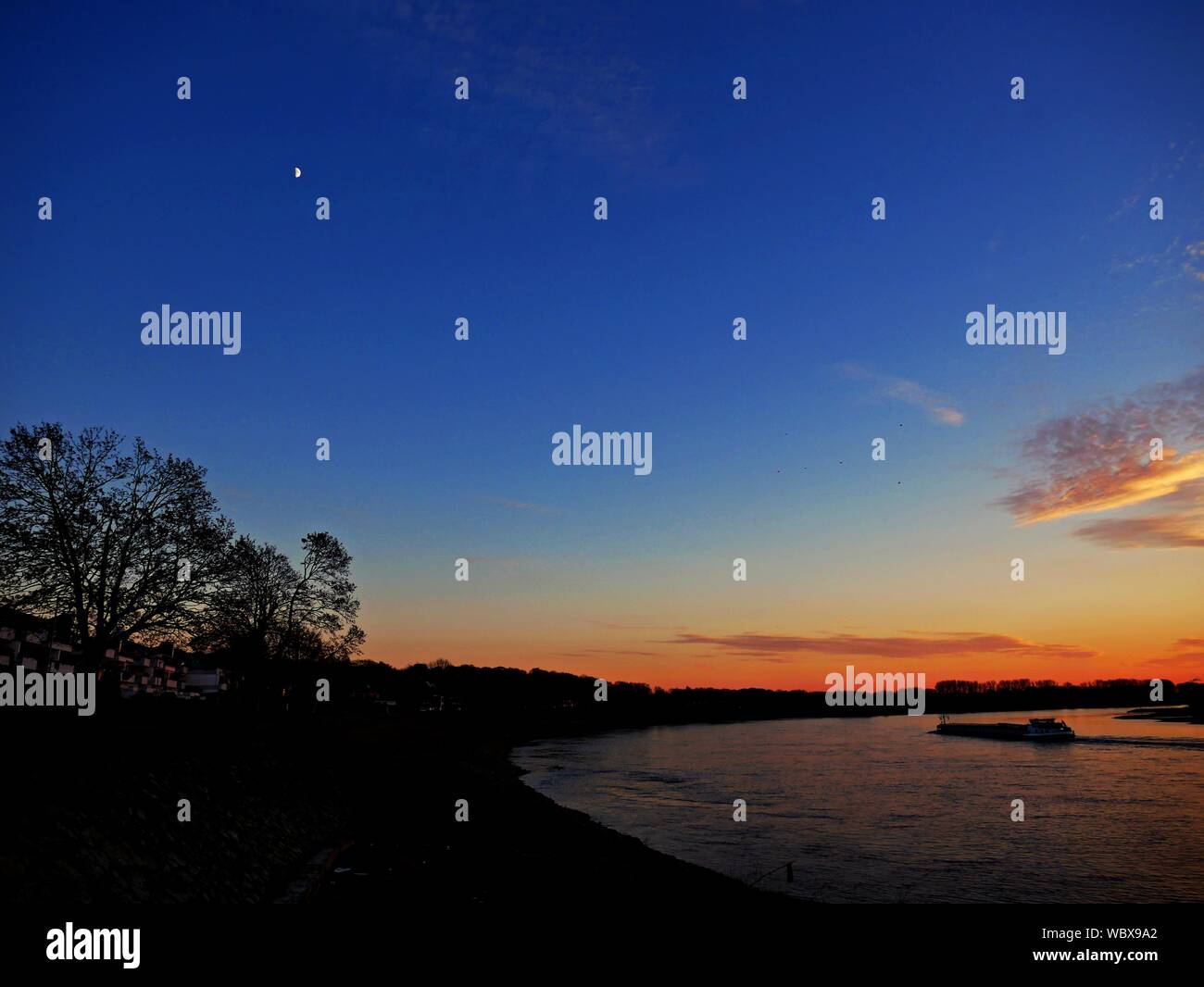 Vista panorámica de la silueta de los árboles contra el cielo durante la puesta de sol Foto de stock
