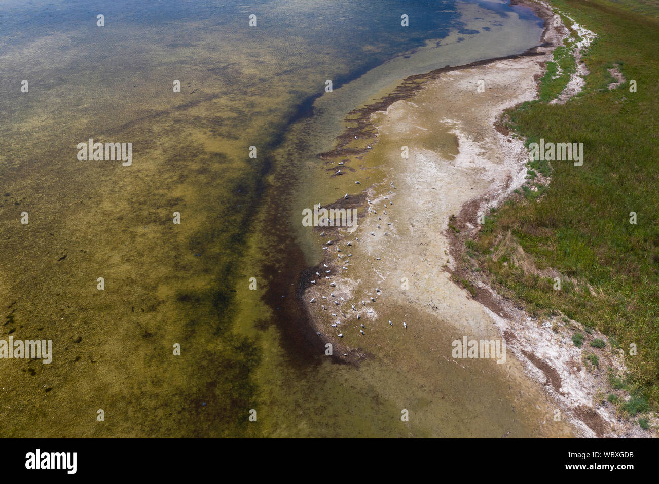 Mar Negro, Kherson oblast, Ucrania Foto de stock