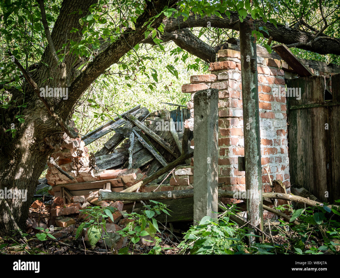 Casa de campo en ruinas Zalissya aldea en la zona de exclusión de Chernobyl, Ucrania Foto de stock