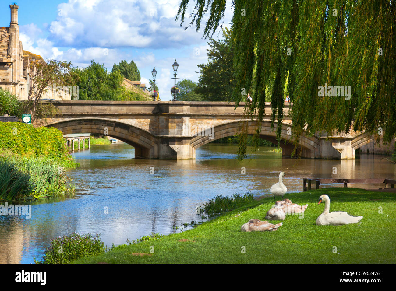 Río Welland, el antiguo puente de Stamford, Lincs. Reino Unido, cisnes en la orilla del río, el sol brillante Foto de stock