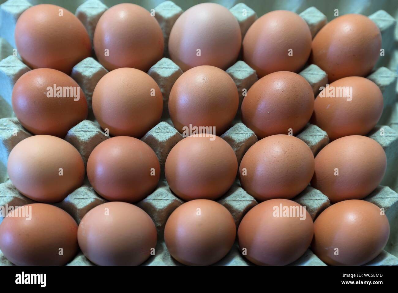 Brown huevos de gallina en una caja de huevo, Baviera, Alemania Foto de stock