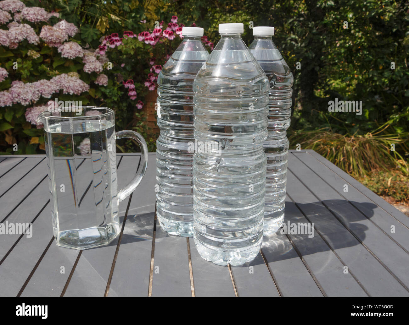 Jarra contra botellas de agua para ahorrar el uso de plástico Fotografía de  stock - Alamy