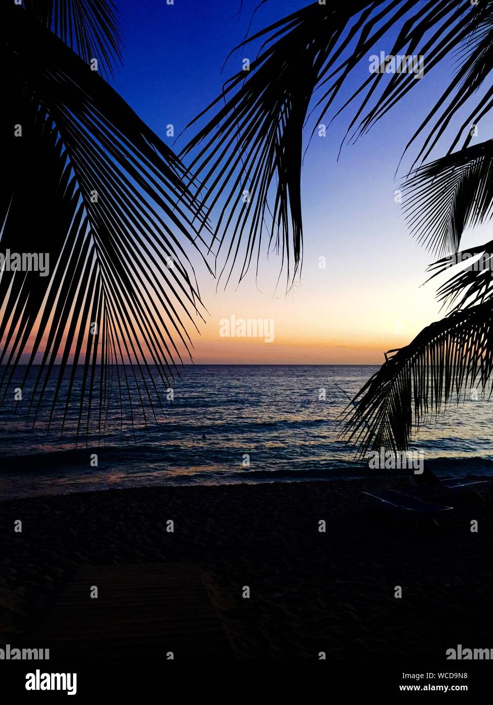 Vista escénica de silueta palmeras en playas de Bayahibe contra atardecer Foto de stock