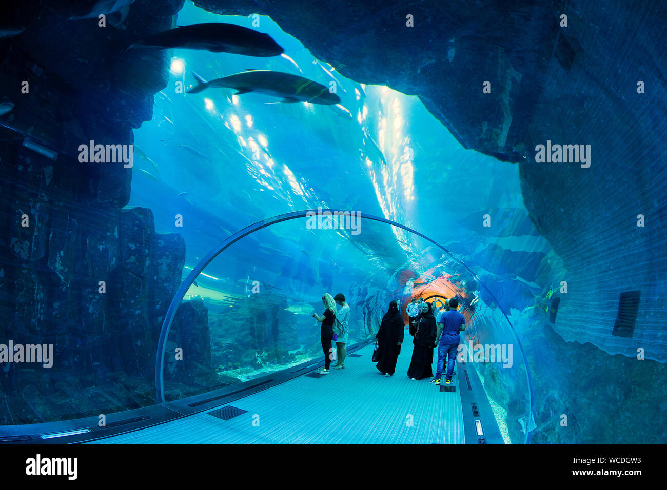 La imagen del acuario Dubai Mall en Dubai, Emiratos Árabes Unidos Foto de stock