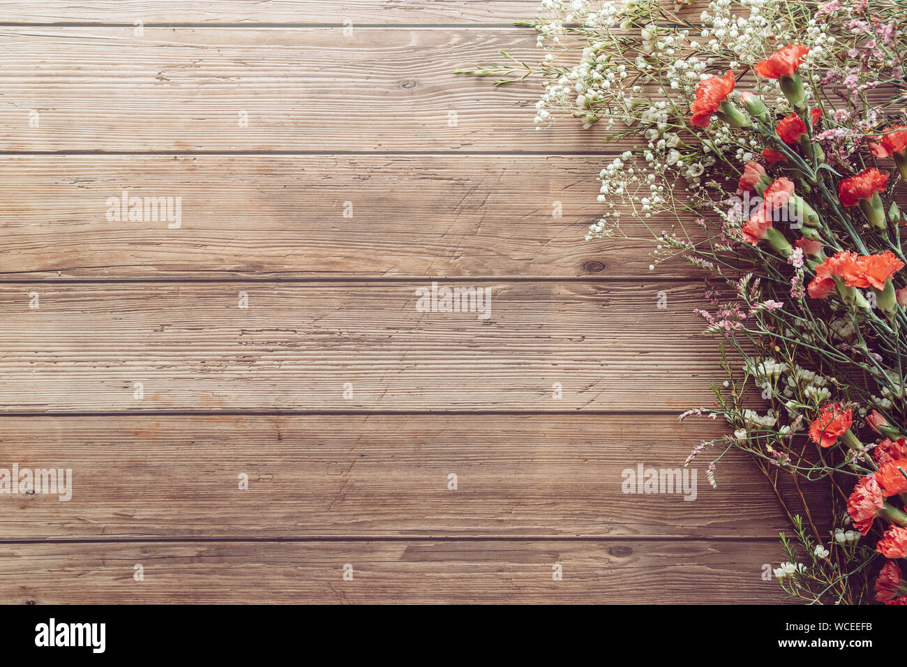 Plano de laicos jardín primavera diminutas flores blancas y rojas sobre el fondo de la tabla de plancha de madera con copia espacio, estilo retro de color Foto de stock