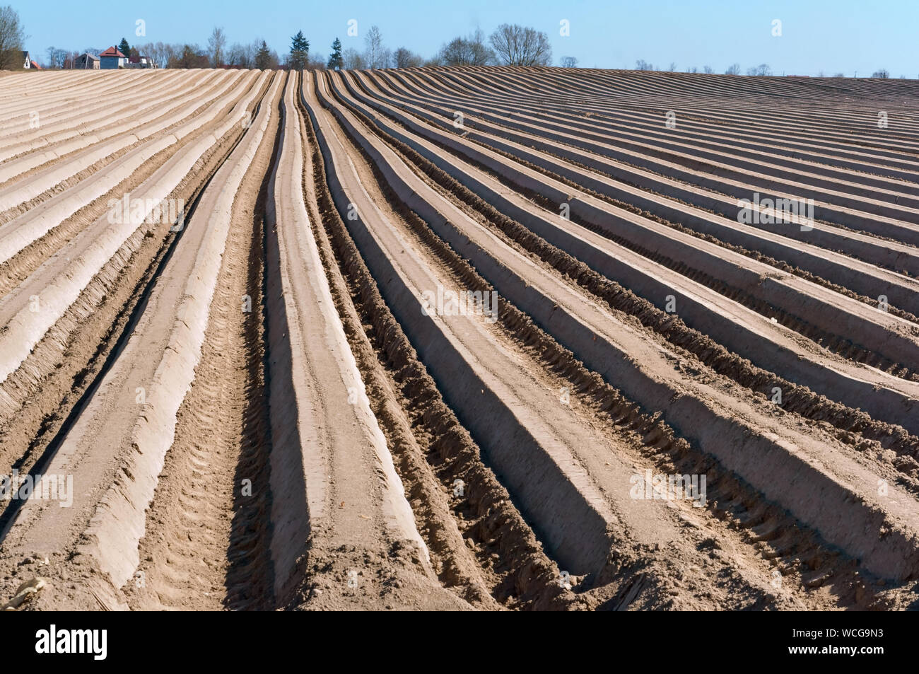 Suavizar los surcos de la tierra trabajada, surcos arados en el suelo Fotografía de stock Alamy Suavizar los surcos de la tierra trabajada, surcos arados en el suelo Fotografía de stock Alamy