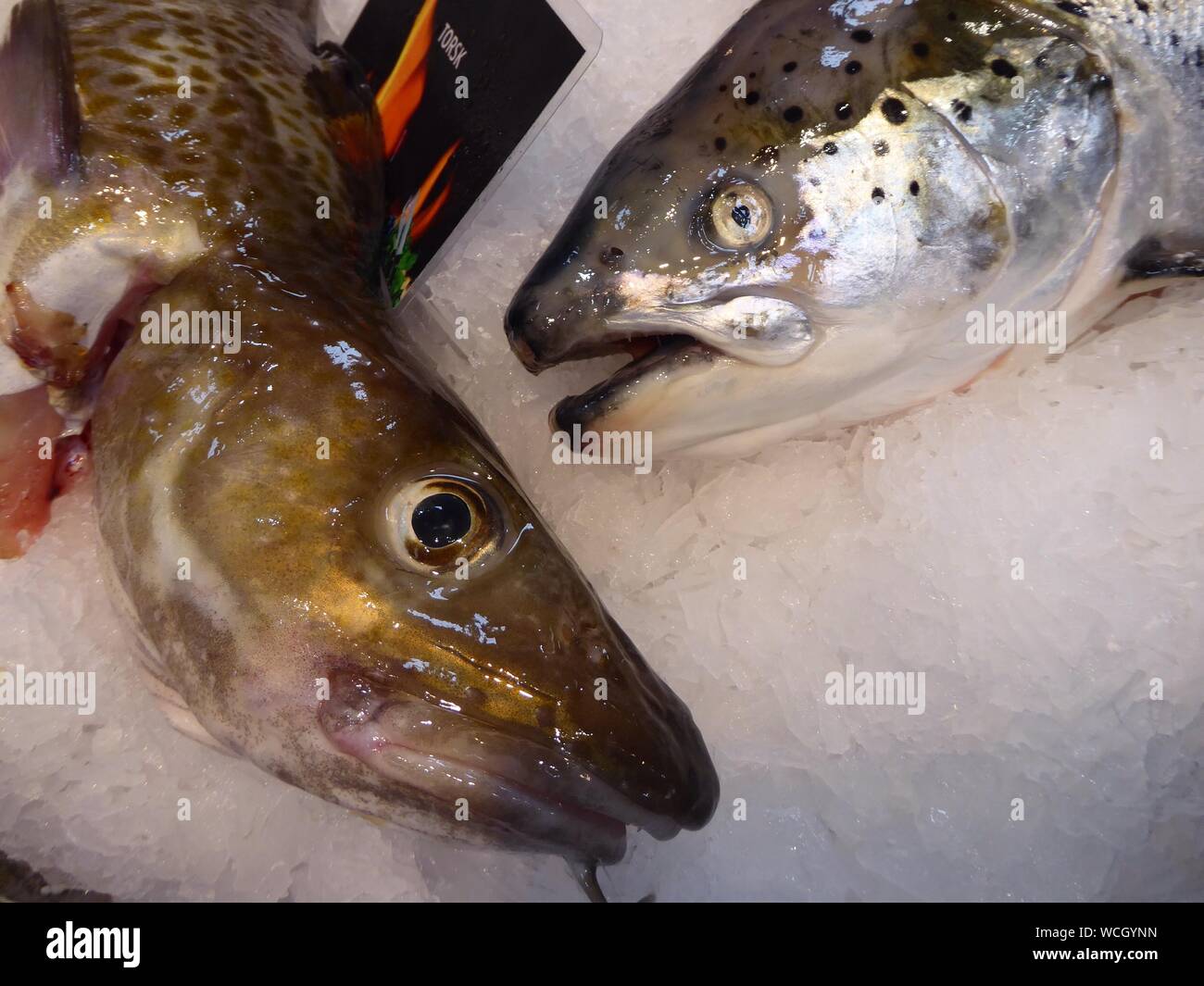 Close-up de pescado en hielo picado en el mercado Foto de stock