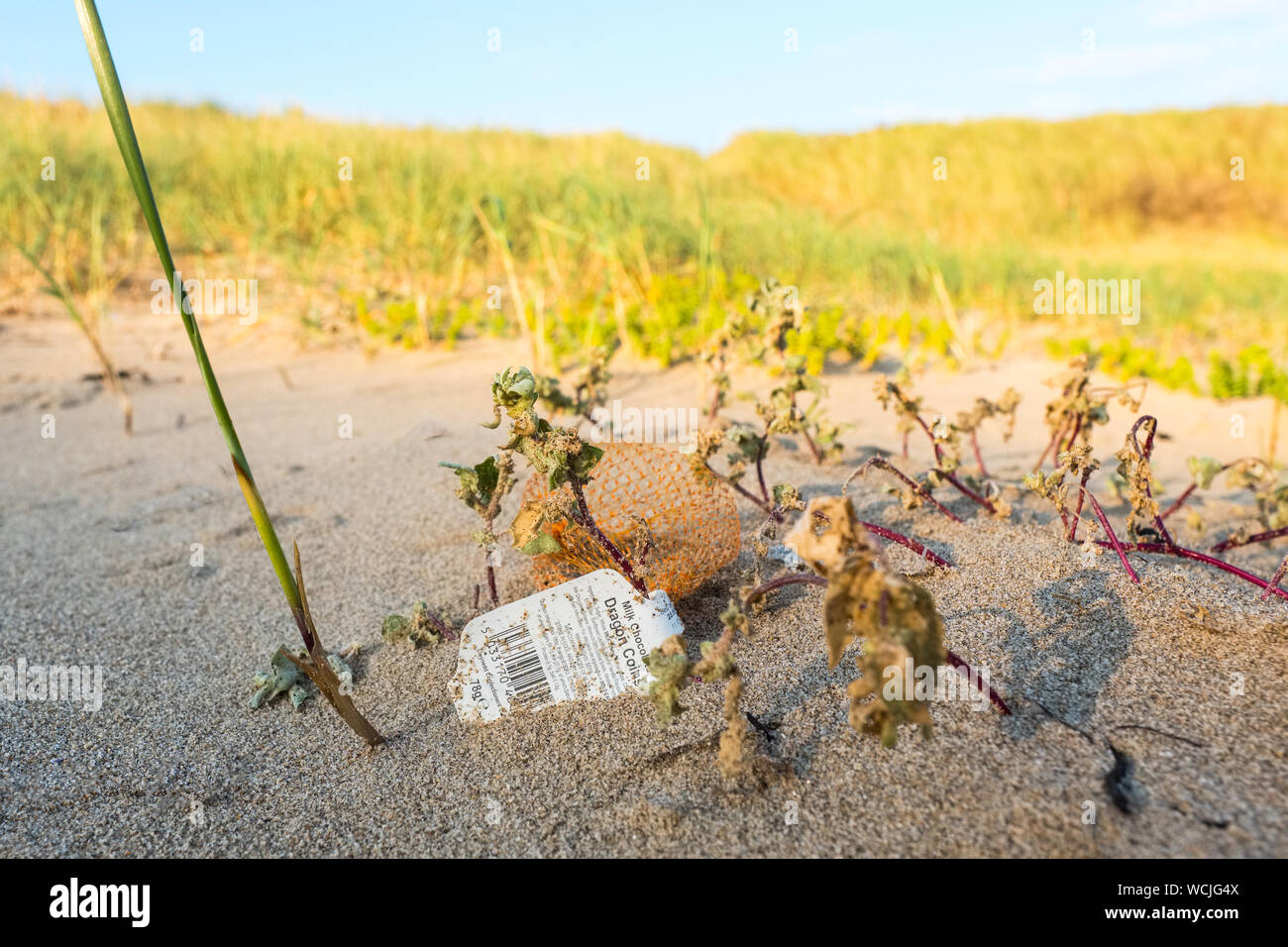 Los residuos plásticos (una botella plástica) contaminación en una playa de Gales UK Foto de stock