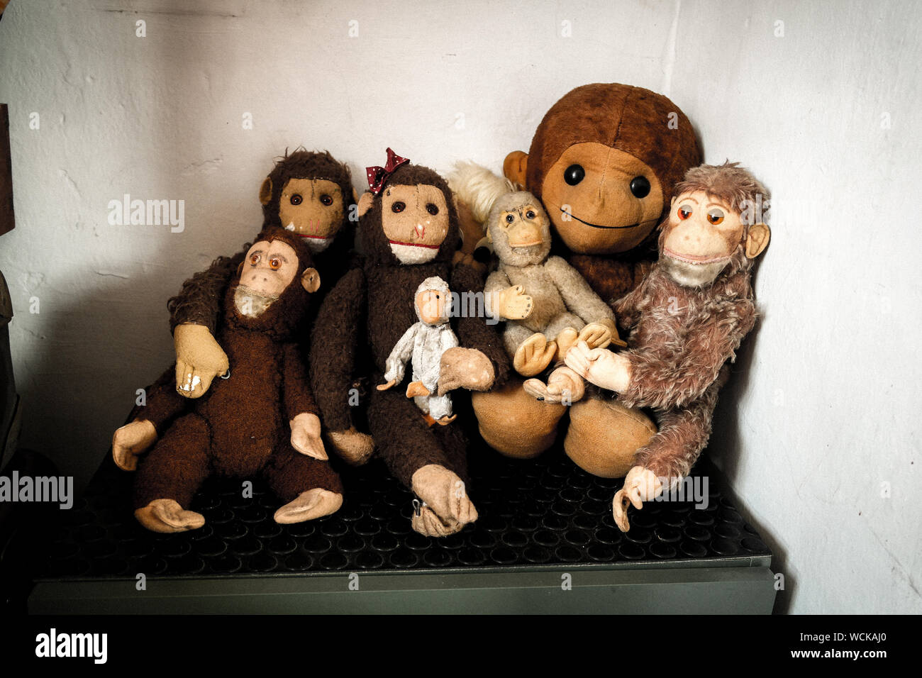 Stuffed monkeys fotografías e imágenes de alta resolución - Alamy