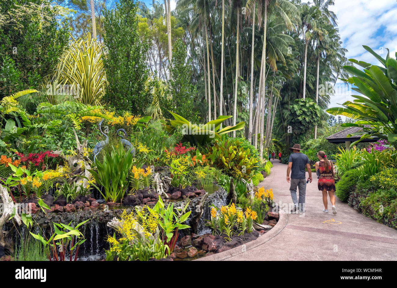 Ruta a través del Jardín Nacional de Orquídeas, los jardines botánicos de Singapur, Singapur Foto de stock