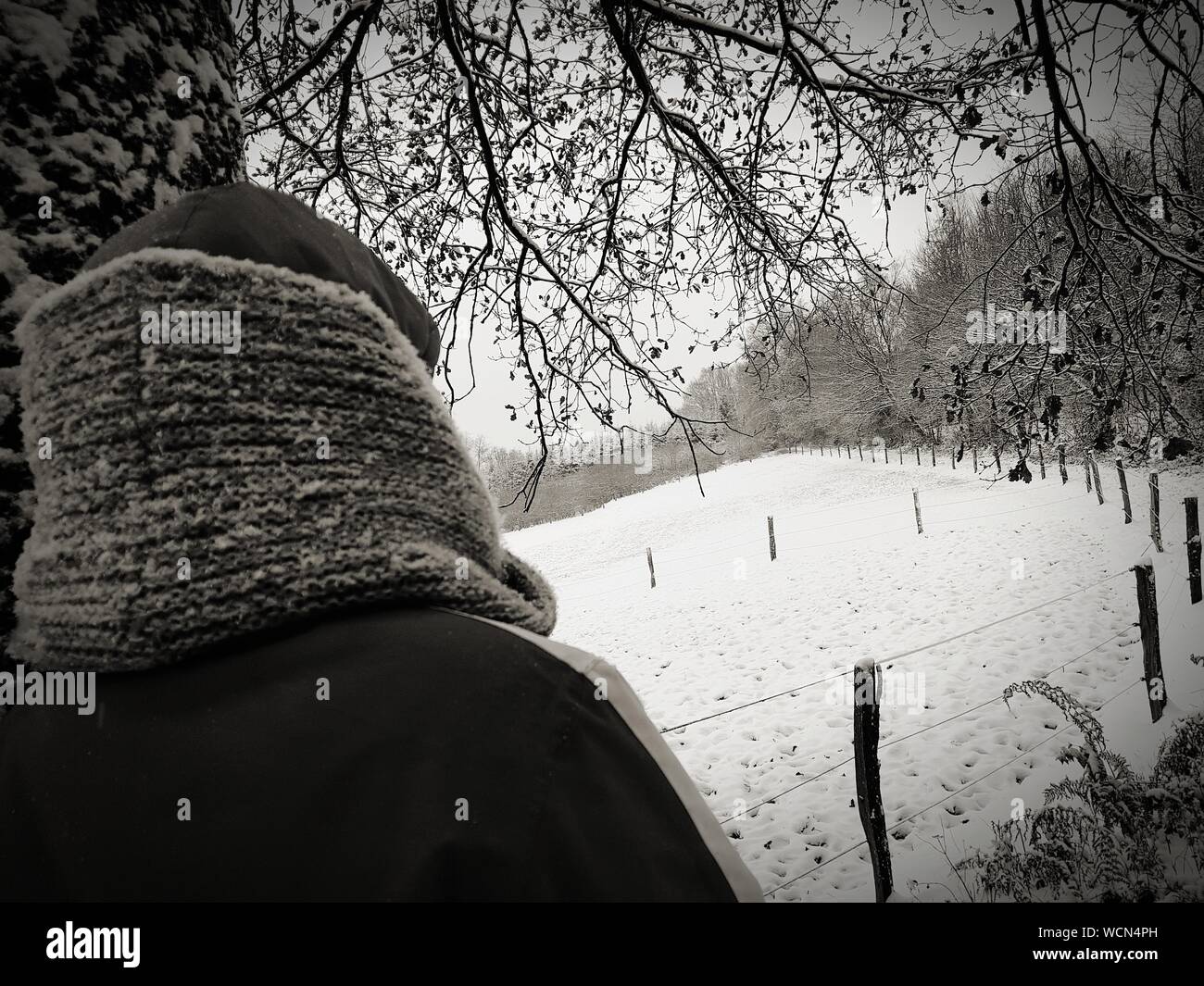 Vista trasera de la mujer vistiendo ropa de abrigo en el parque durante el invierno Foto de stock