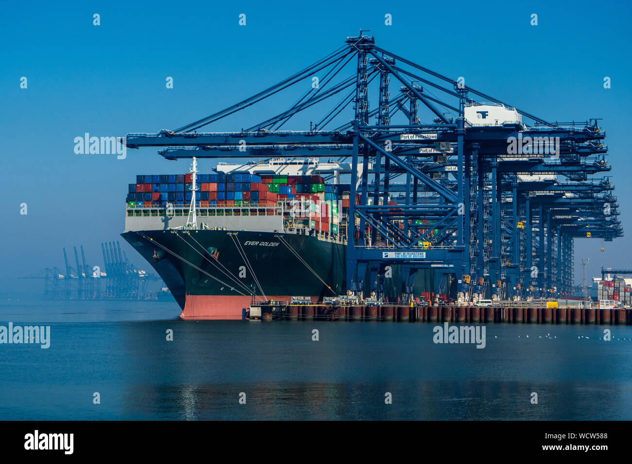 Global Britain - UK Trade en el puerto de contenedores Felixstowe - el buque de contenedores de oro Ever descarga la carga en el puerto de Felixstowe Reino Unido Foto de stock