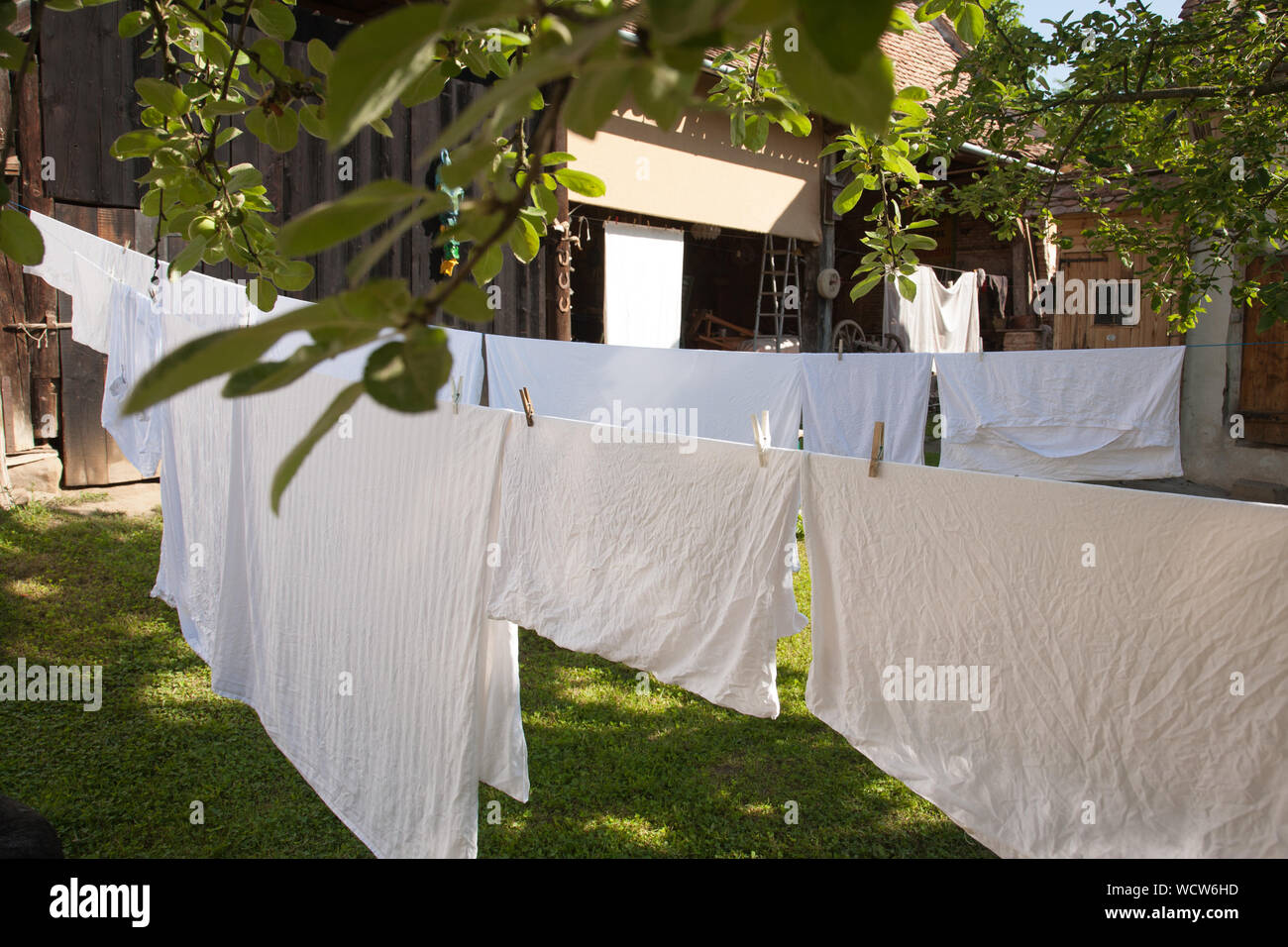 Sábanas colgando para secar en líneas de lavado en un jardín, Richis, Transilvania, Rumania Foto de stock