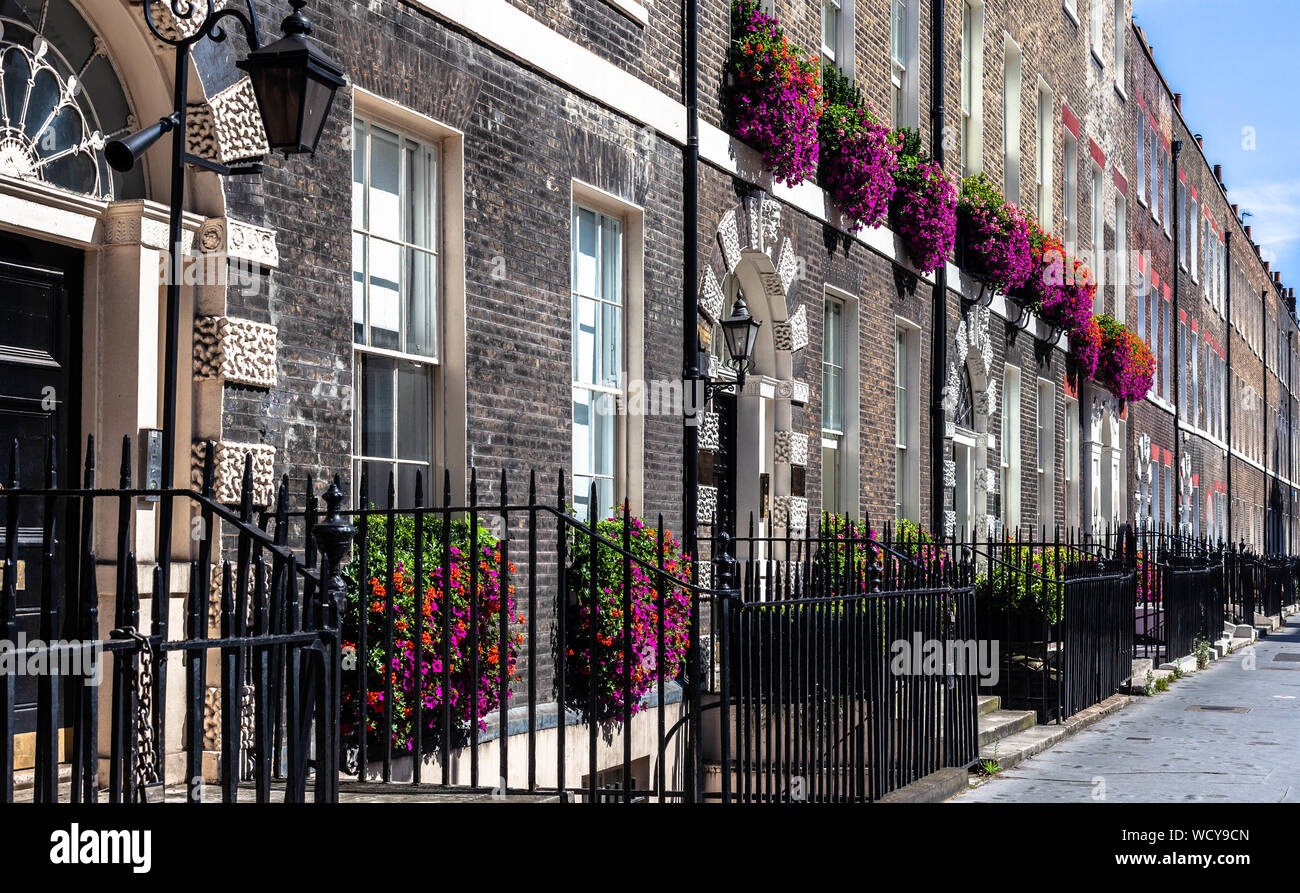 Frentes de casas adosadas georgianas, decoradas con flores naturales, Gower Street, Bloomsbury, Londres WC1, Inglaterra, Reino Unido. Foto de stock