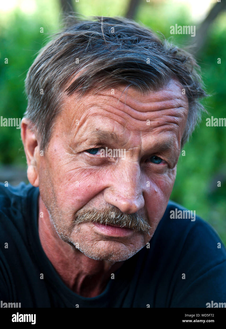 Close-up retrato de confianza hombre Senior Foto de stock