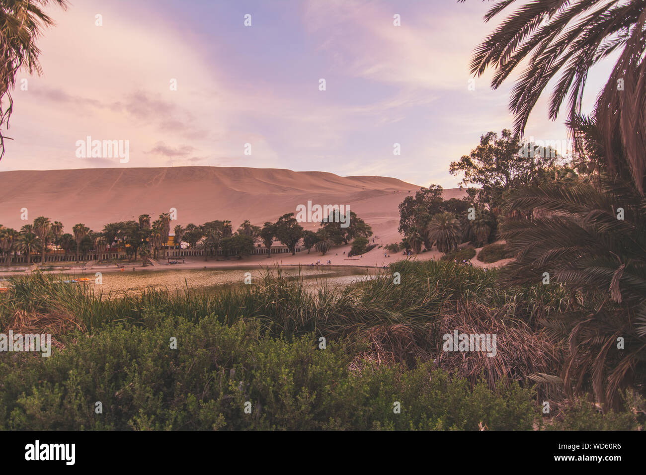 Clima semi desértico fotografías e imágenes de alta resolución - Alamy