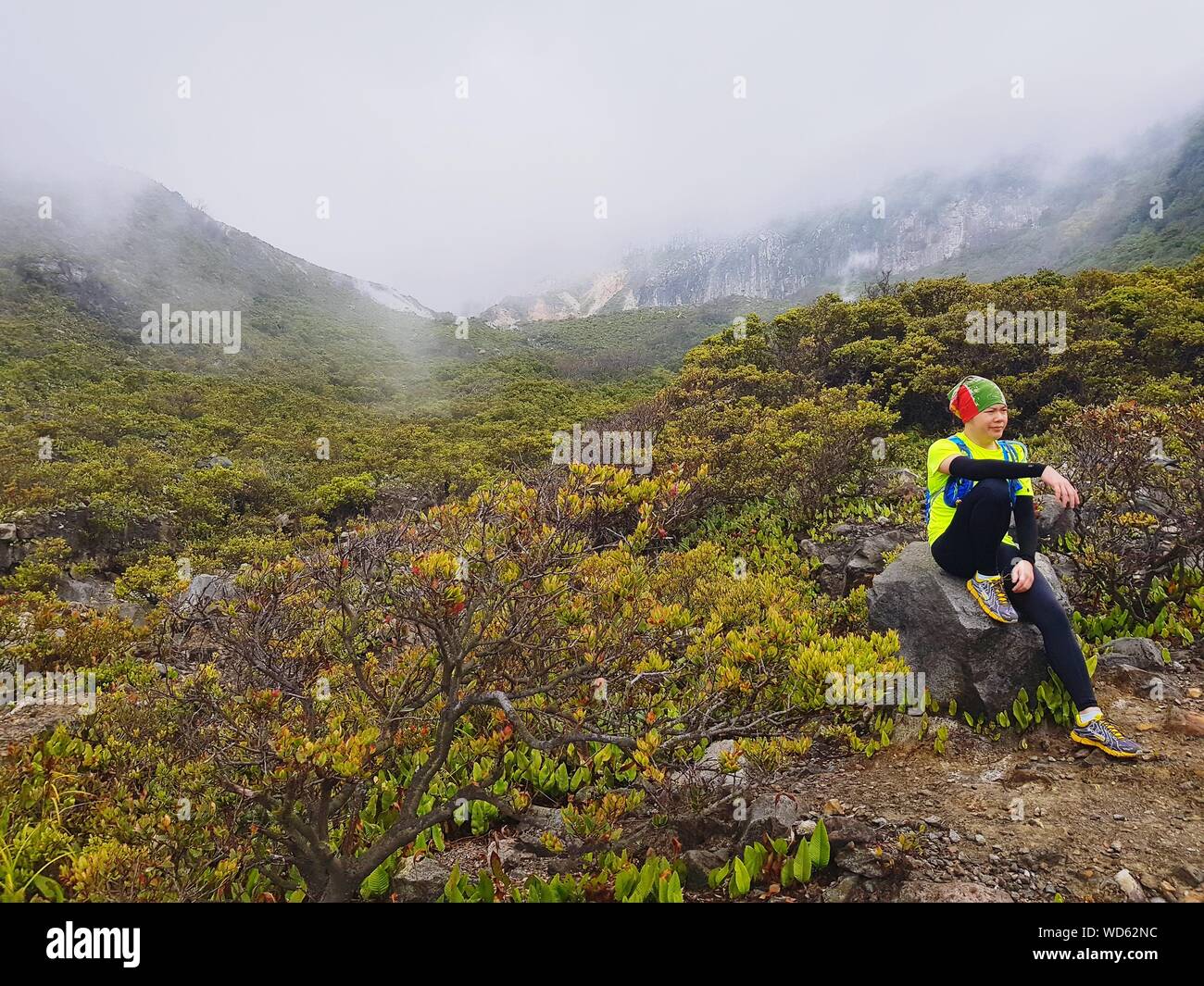 Gunung Gede Pangrango National Park Fotografías E Imágenes De Alta Resolución Alamy 