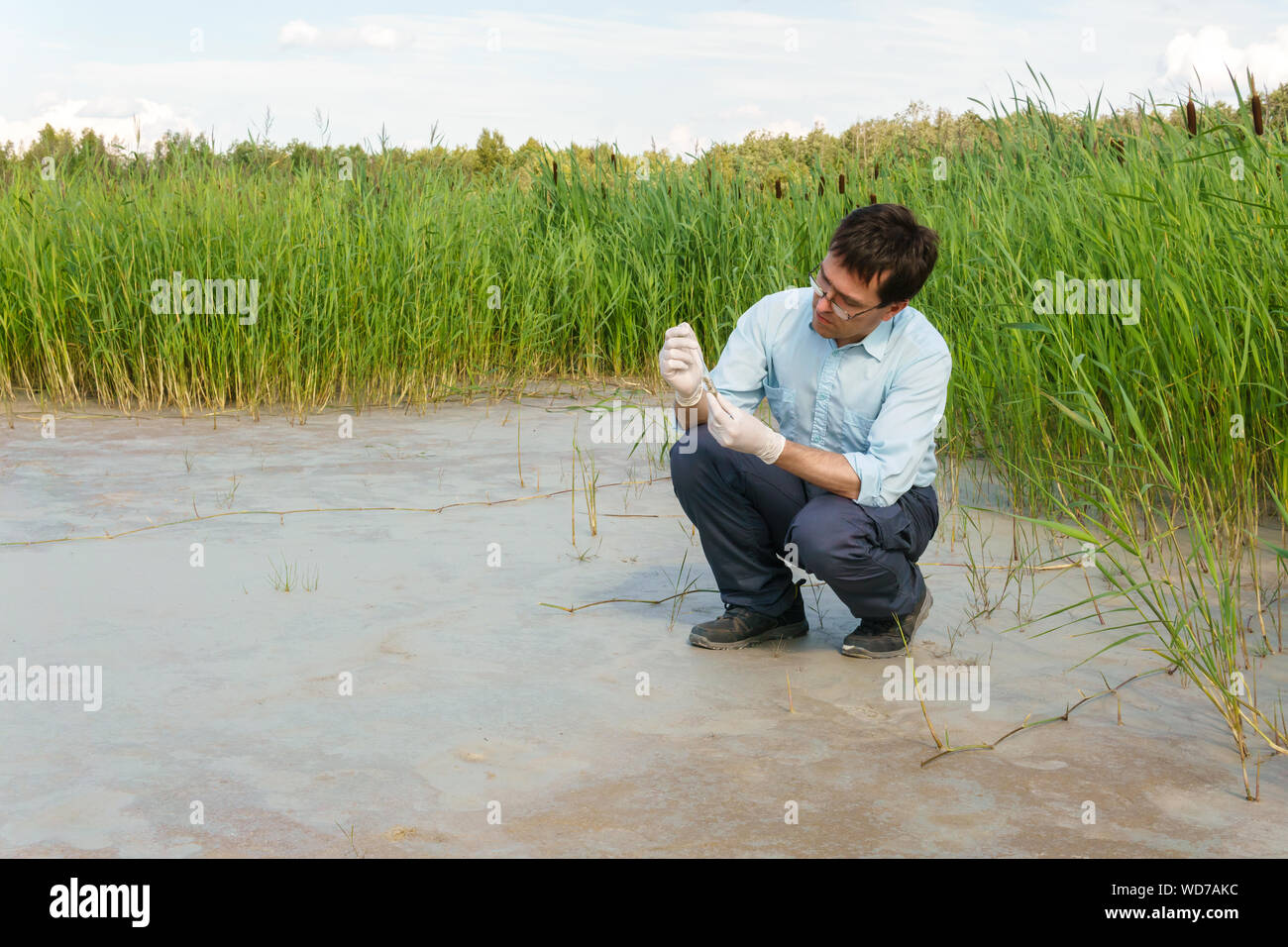 Campo biólogo investigador examina una muestra de suelo en un tubo de ensayo contra un pantano seco Foto de stock