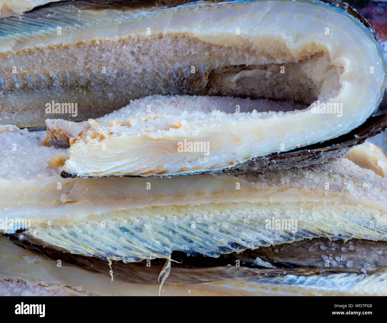 Bacalao seco expuesto en un mercado para la venta Foto de stock
