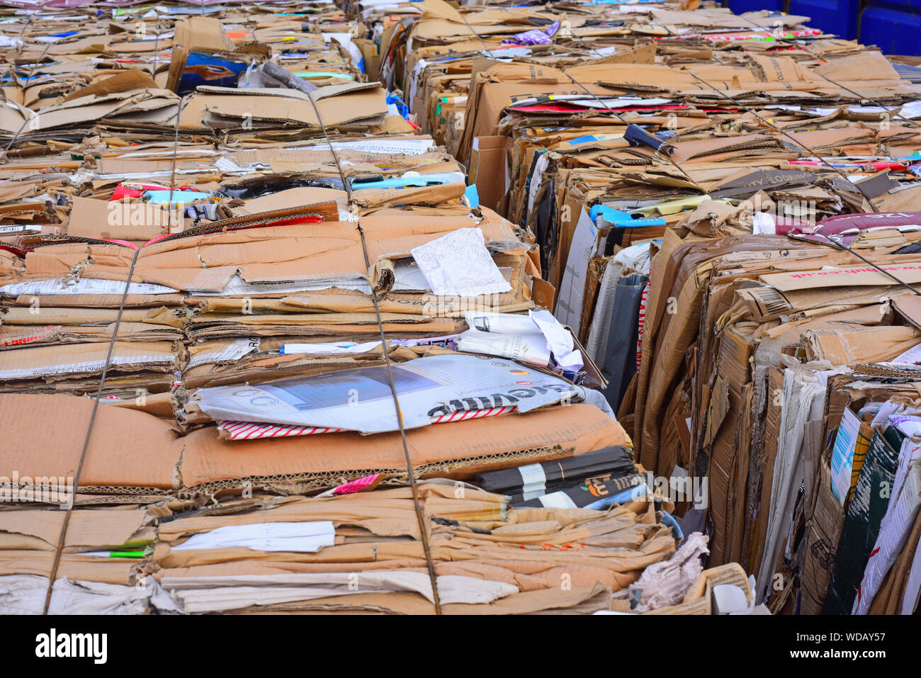 El cartón corrugado reciclado en fardos al centro de reciclaje de residuos domésticos reino unido Foto de stock