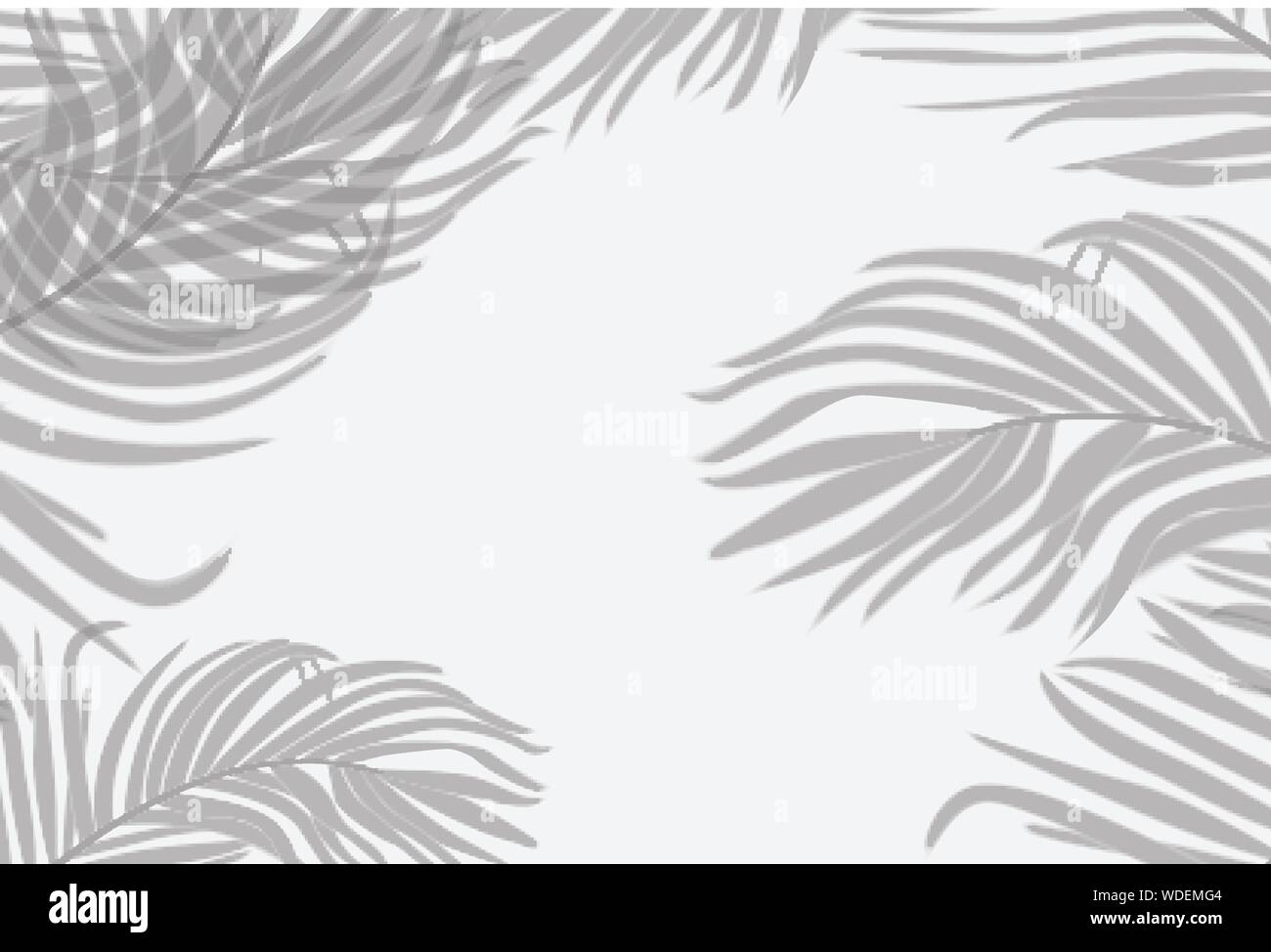 Sombras de hoja de palmera en la pared blanca de fondo. Concepto de verano. Ilustración vectorial. Ilustración del Vector