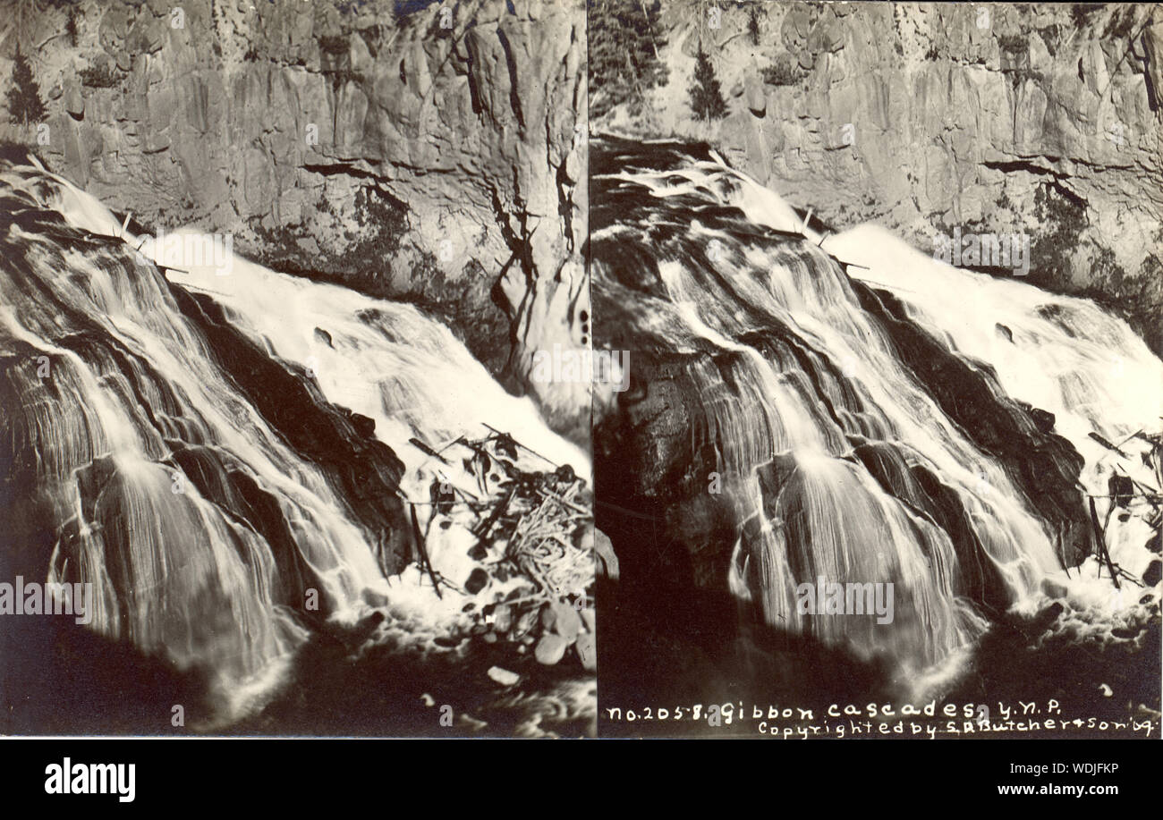 Gibbon Cascades, Y.N.P. / Foto hecha por D.E. Butcher & Hijo, Kearney, Nebraska. Resumen/medio: 1 impresión fotográfica (tarjeta postal) : stereograph, gelatina de plata. Foto de stock