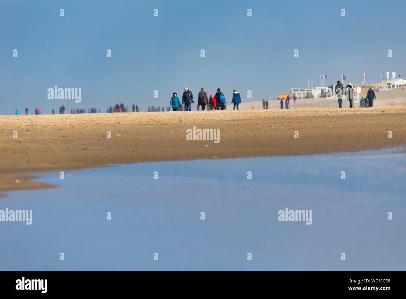 Walker en la playa del Mar del Norte de Bergen aan Zee, Holanda Septentrional, Holanda, Foto de stock