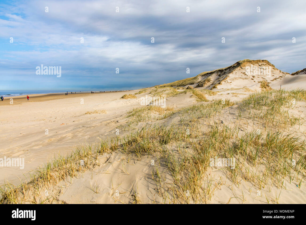 Playa del Mar del Norte de Egmond aan Zee, Holanda Septentrional, Holanda, dunas, Foto de stock