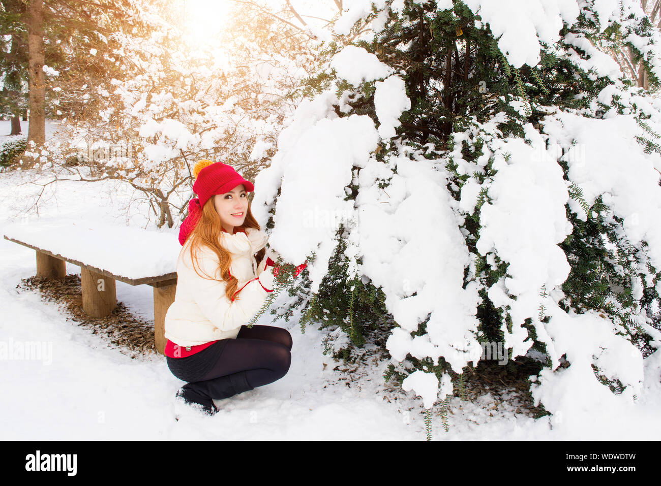 Retrato de mujer hermosa en cuclillas en el campo nevado por el árbol Foto de stock