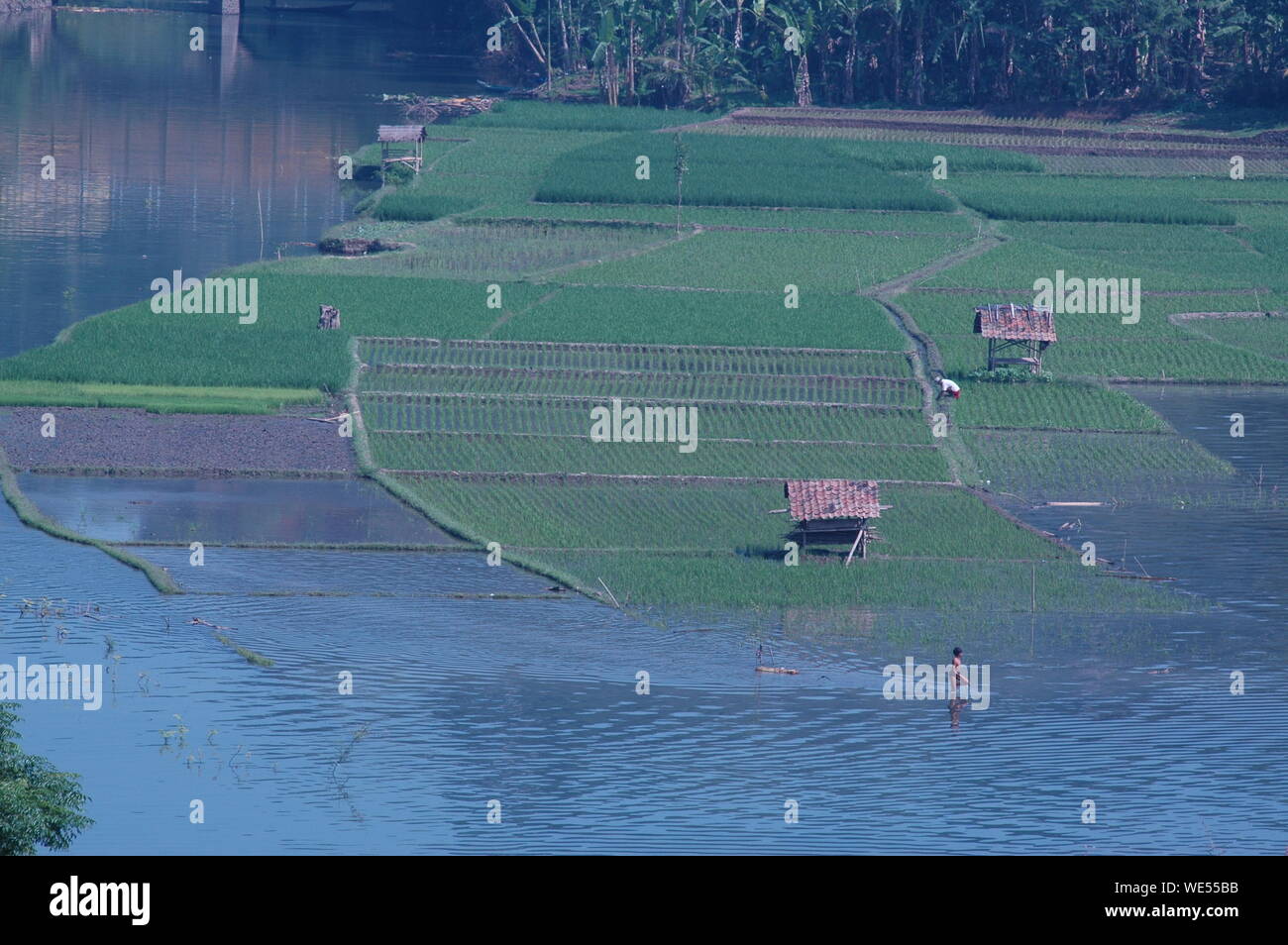 Vista escénica de granja agrícola Foto de stock