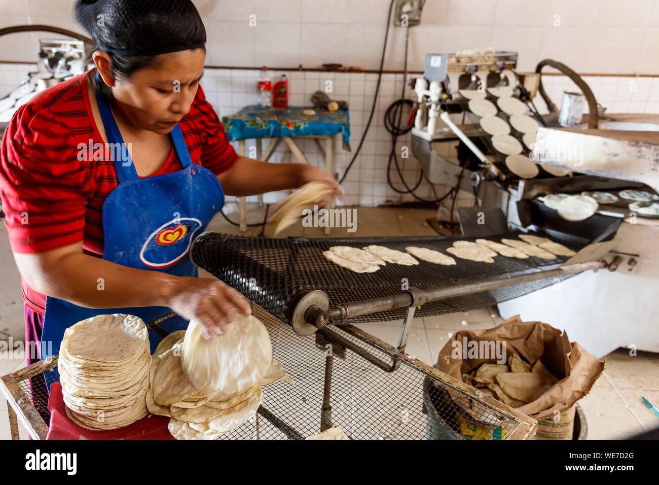 México, Estado de Yucatán, Muna, tortillas producción Foto de stock