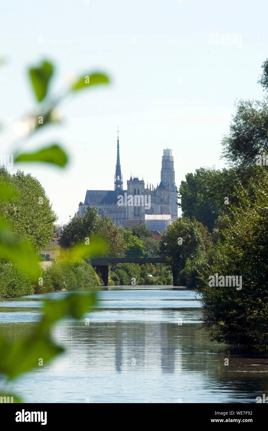 Francia, Somme, Amiens, los bancos del río Somme y la catedral de Notre-Dame, joya del arte gótico, catalogada como Patrimonio de la Humanidad por la UNESCO Foto de stock
