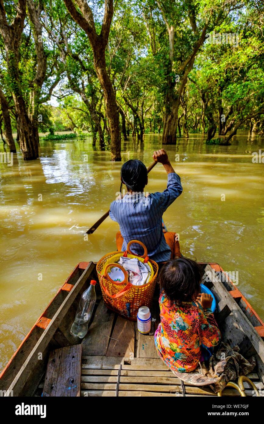 Camboya, Kompong Phluc o Kampong Phluc, cerca de Siem Reap, bote de remos en el bosque inundado a orillas del lago Tonlé Sap Foto de stock