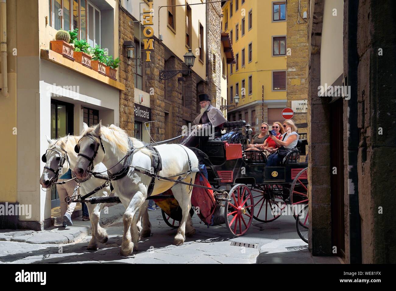 Italia, Toscana, Florencia, catalogado como Patrimonio Mundial por la UNESCO, de caballos en la calle Borgo Santi Apostoli Foto de stock