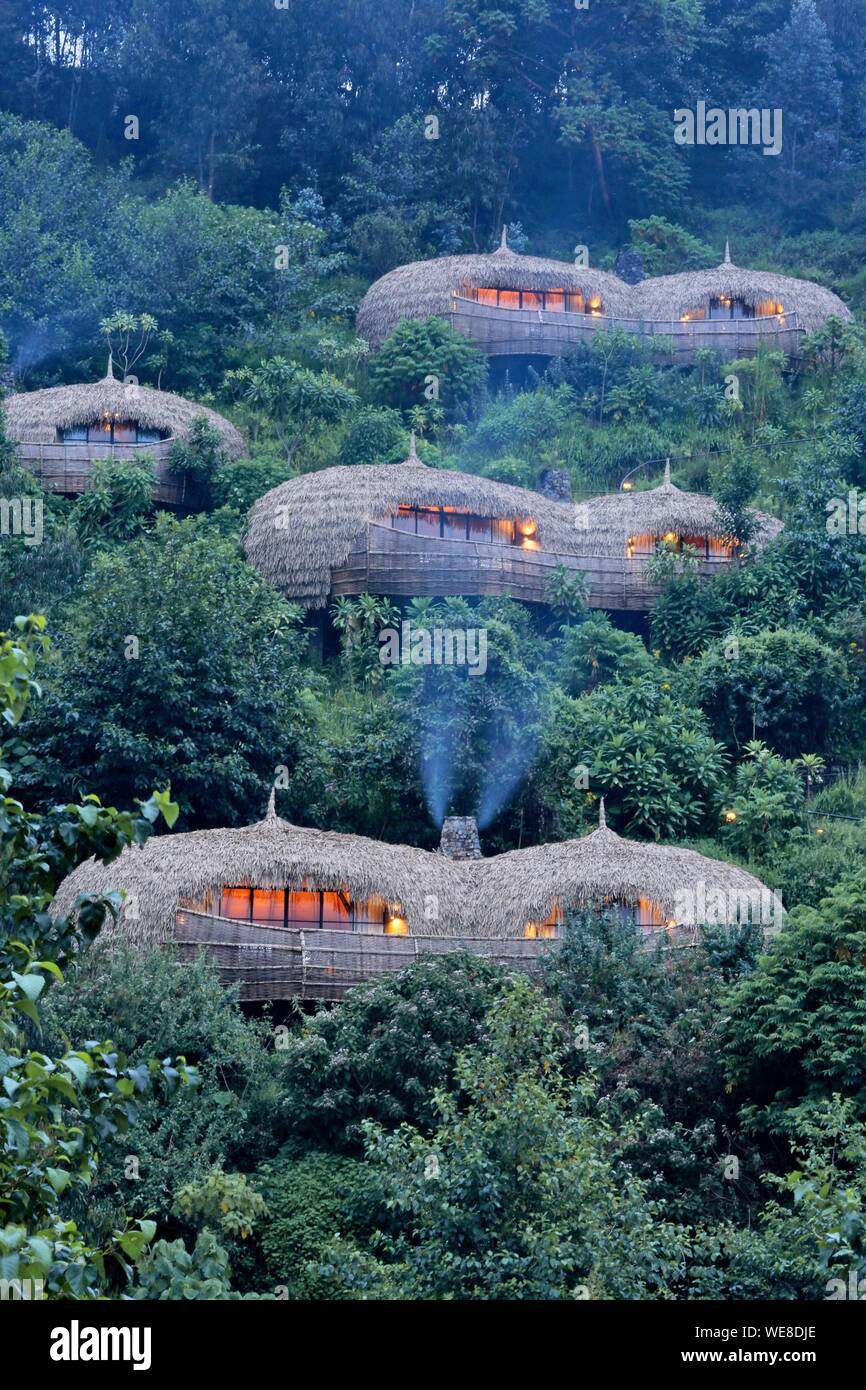Rwanda, Parque Nacional de Los Volcanes, villas con techo de paja, de Bisote lodge de los Safaris Wildreness hotel group, que emergen de una colina cubierta de vegetación Foto de stock