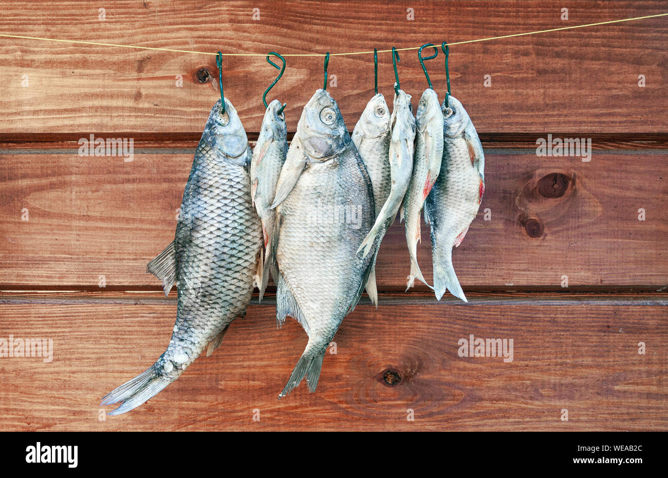 Pescado salado seco colgando de una cuerda contra la pared de madera, vista frontal mariscos Foto de stock