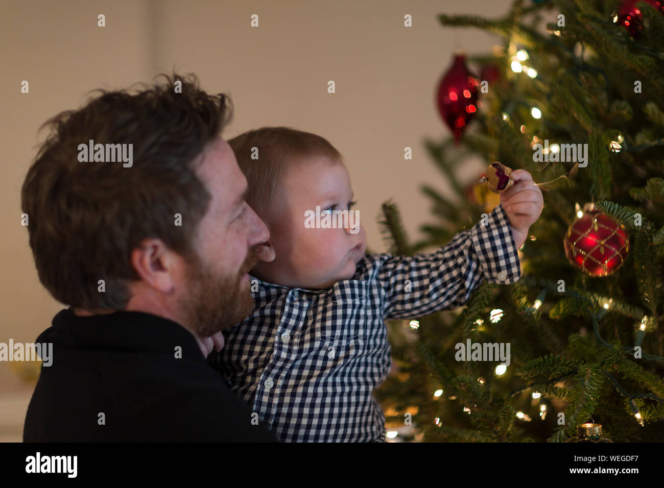 El padre tiene 1 años de edad que está alcanzando para decorar el árbol de Navidad Foto de stock